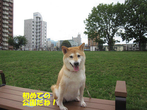 8resize5863.jpg