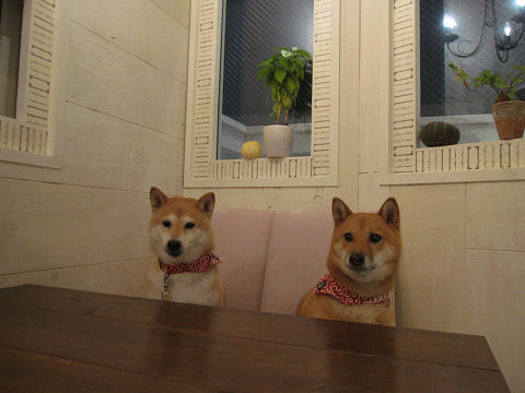 8resize6331.jpg