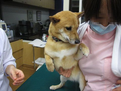 8resize6428.jpg