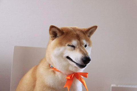 8resize7281.jpg