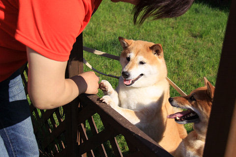 8resize7380.jpg