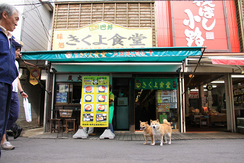 9resize0265.jpg