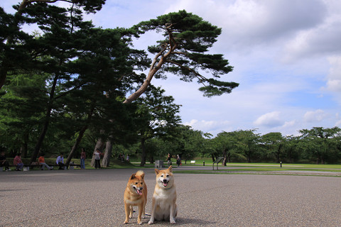 9resize0283.jpg