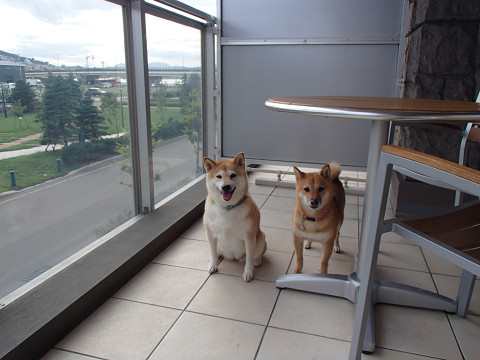 9resize0305.jpg