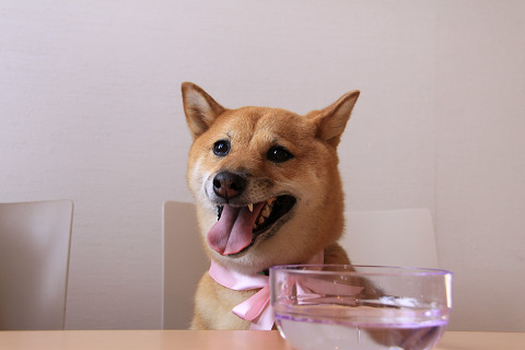 9resize0378.jpg