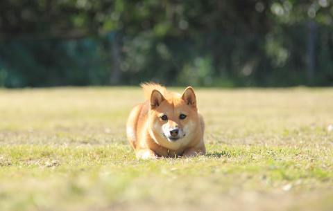 9resize0443.jpg
