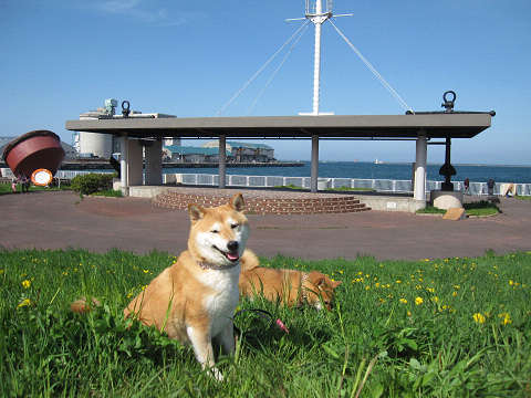 9resize1437.jpg