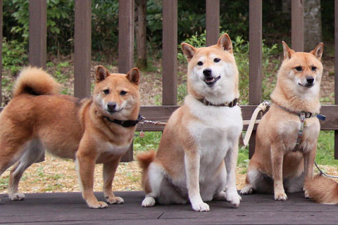 9resize2118.jpg