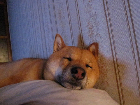 9resize2146.jpg
