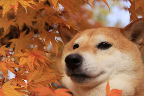 9resize2449.jpg