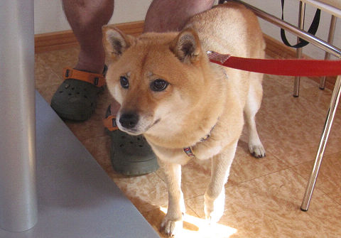 9resize3436.jpg