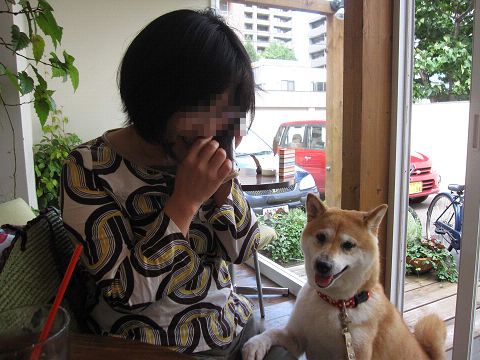 9resize3558.jpg
