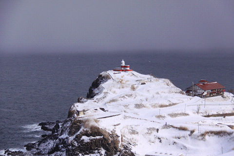9resize4689.jpg