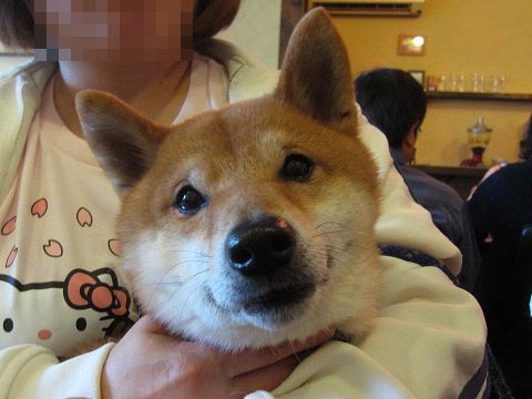 9resize5308.jpg