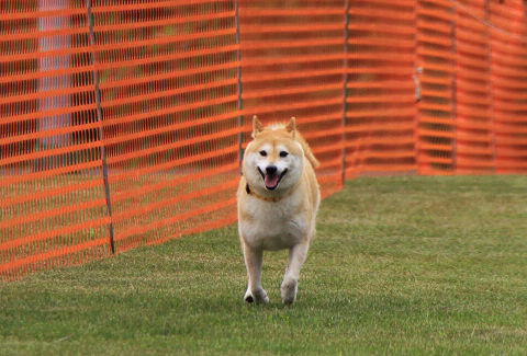9resize5691.jpg