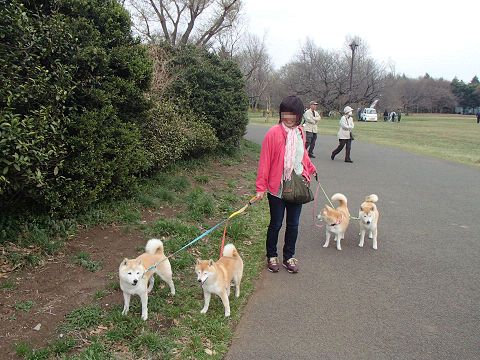 9resize6836.jpg