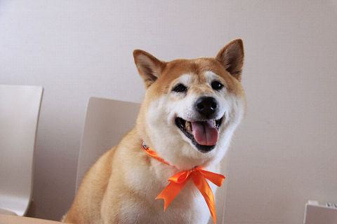 9resize7282.jpg
