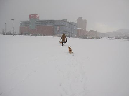 IMG_0451aa.jpg