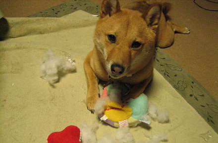 IMG_1169aaa.jpg