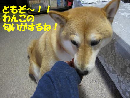 IMG_1694造.jpg