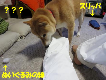 IMG_1702造.jpg