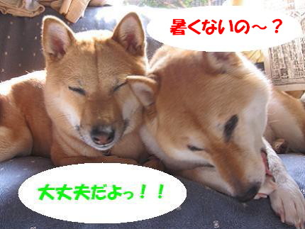 IMG_2174aaa.jpg