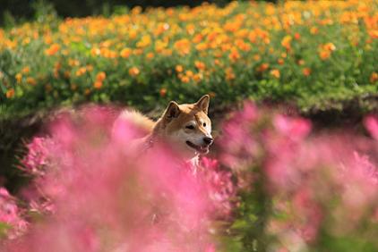 IMG_4127b.jpg