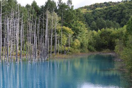 IMG_4182a.jpg