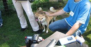 IMG_6562.jpg