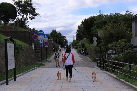 a5resize0205.jpg