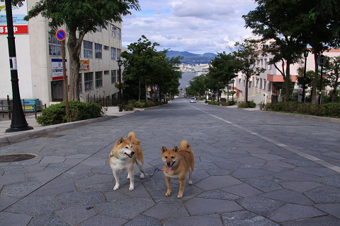 a7resize0203.jpg