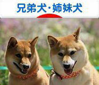 furano3.jpg