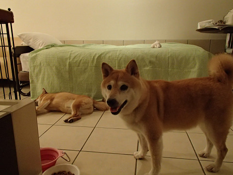 h10resize0291.jpg