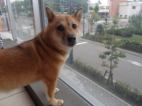 h13resize0295.jpg