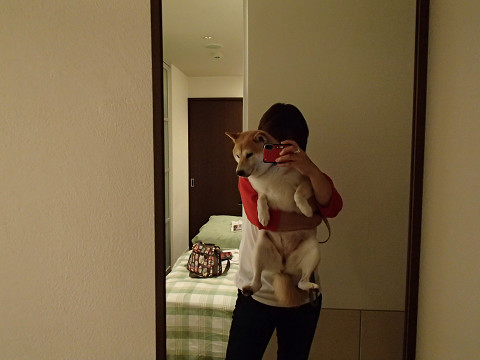 h18resize0315.jpg