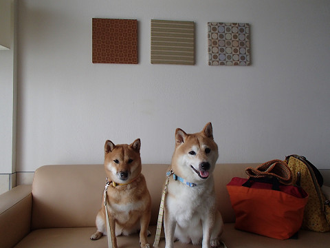 h19resize0301.jpg