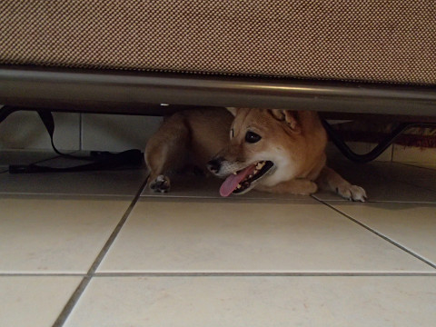 h3resize0307.jpg