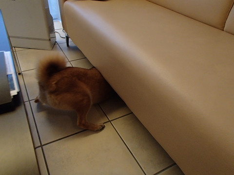 h5resize0314.jpg