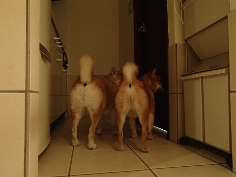 h6resize0289.jpg