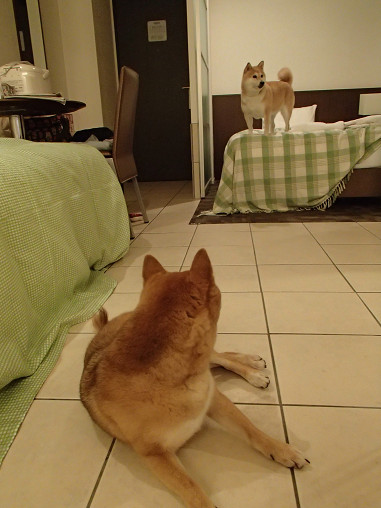 h7resize0325.jpg