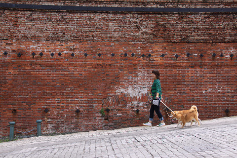 k14resize0249.jpg