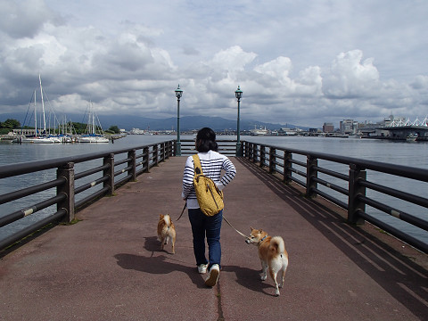 k1resize0218.jpg