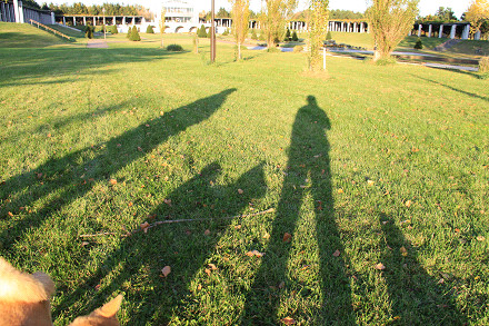 resize0020m.jpg