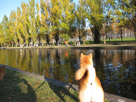 resize0039m.jpg