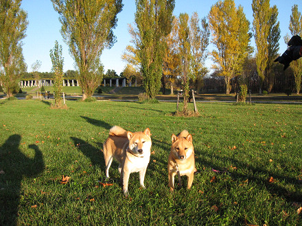 resize0042m.jpg