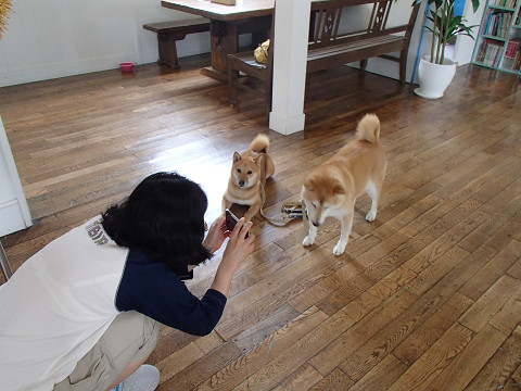 resize0096.jpg
