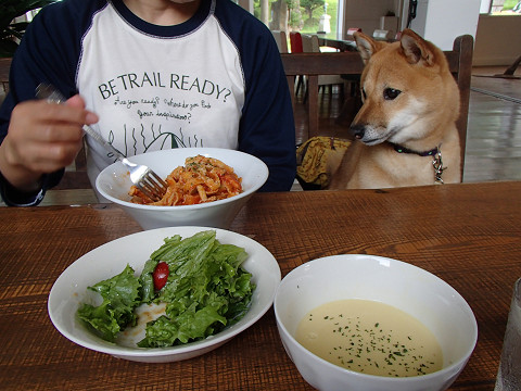 resize0102.jpg