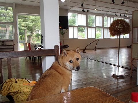 resize0104.jpg