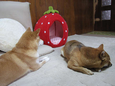 resize0104a.jpg