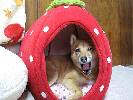 resize0104aa.jpg